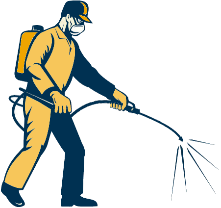 Pest Control. Pest Control Company Costa Blanca